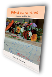 Winst na verlies - Rauwverwerking 3.0